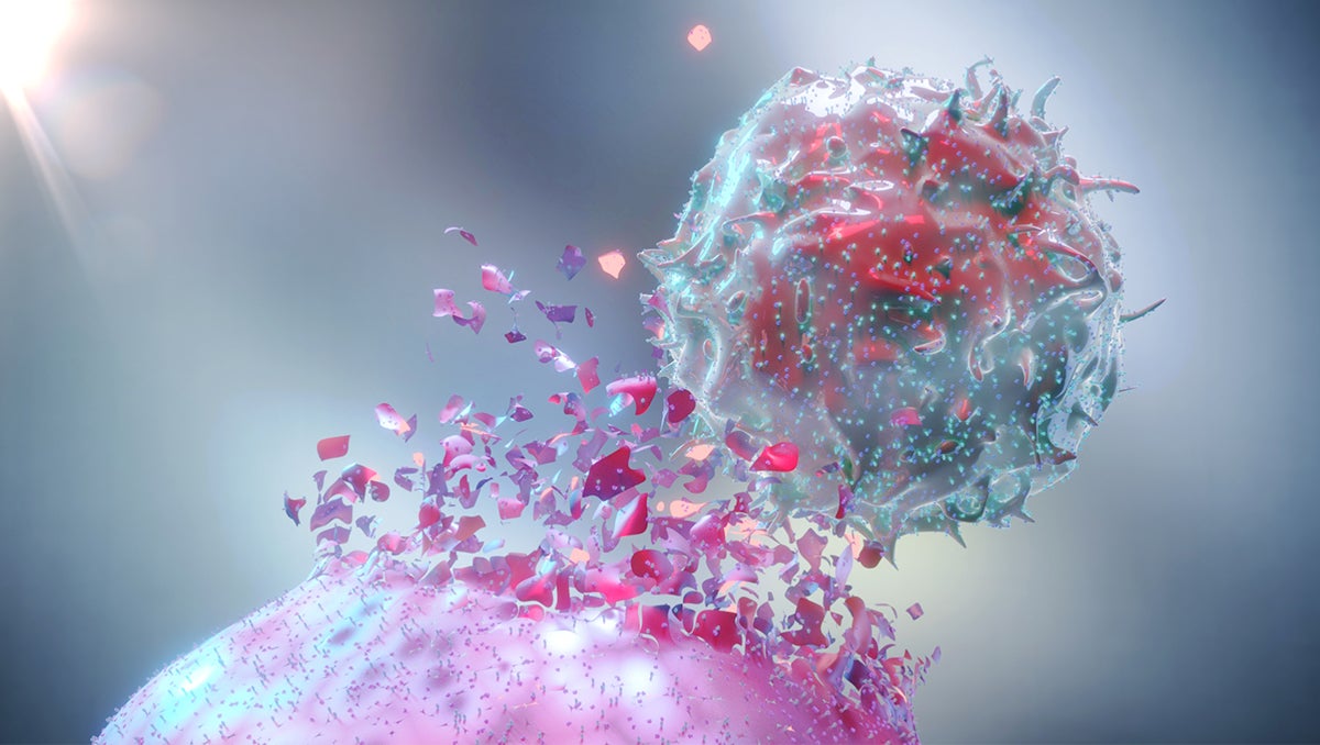 3D rendering of a natural killer cell destroying a cancer cell